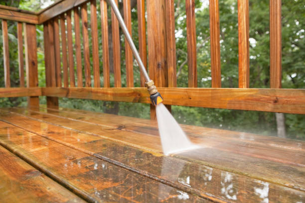 Best Solar Panel Cleaning  in West Little River, FL